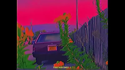 VLXX