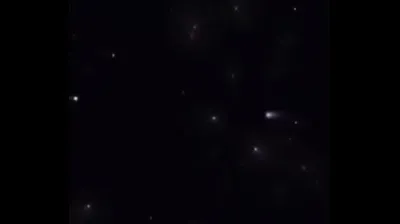 VLXX
