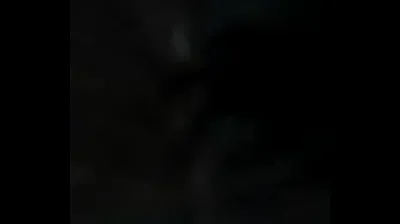 VLXX