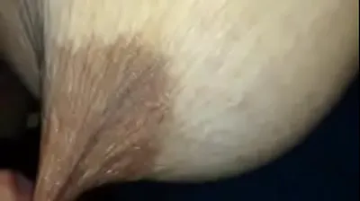 VLXX