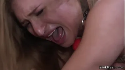 VLXX