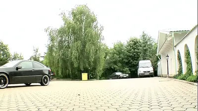 VLXX