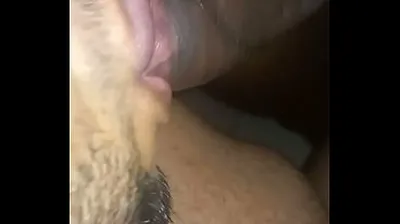 VLXX