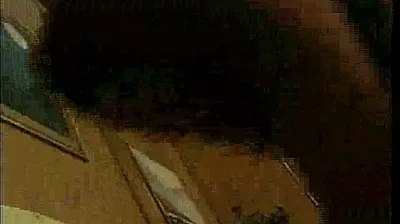 VLXX