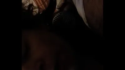 VLXX