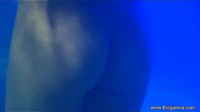 VLXX