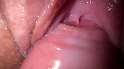 VLXX