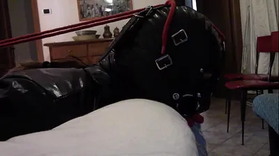 VLXX