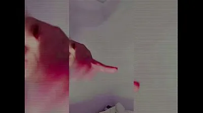 VLXX