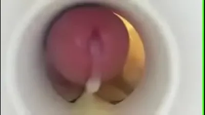 VLXX