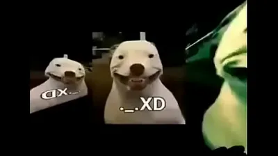 VLXX