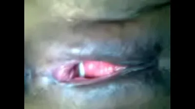VLXX