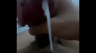 VLXX