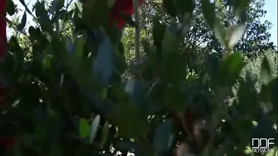 VLXX