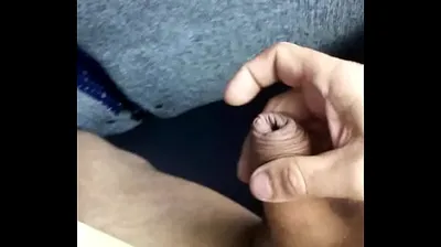 VLXX