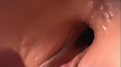 VLXX