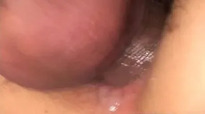 VLXX