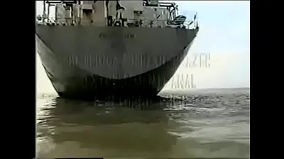 VLXX
