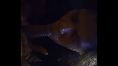 VLXX