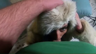 VLXX