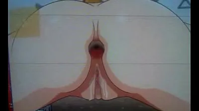 VLXX