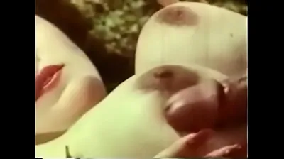 VLXX