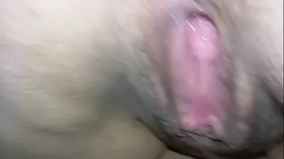 VLXX