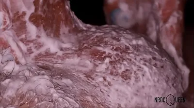 VLXX