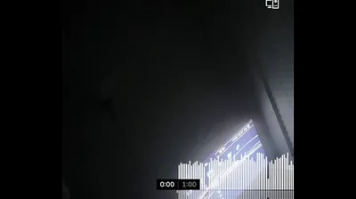 VLXX