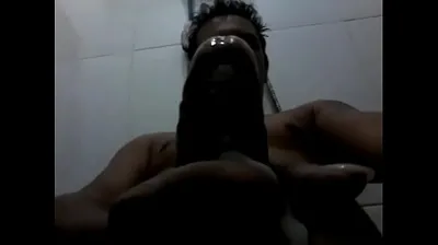 VLXX