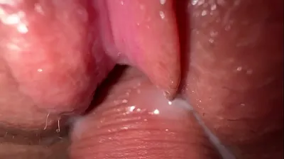 VLXX
