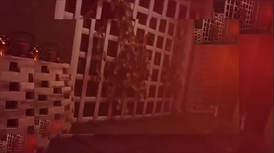 VLXX