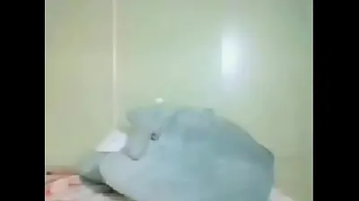 VLXX