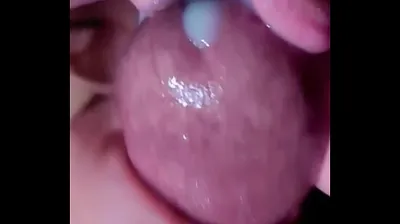 VLXX
