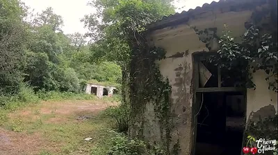 VLXX