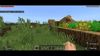 VLXX